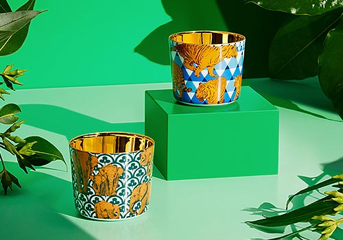 Design Awards Winner - sieger design - Beautiful Creatures tumblers