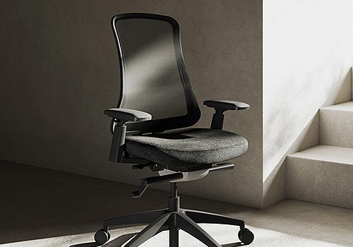 Design Awards Winner - FlexiSpot Inc.  - Premium Stylish Ergonomic Home Office Chair (Sheer)