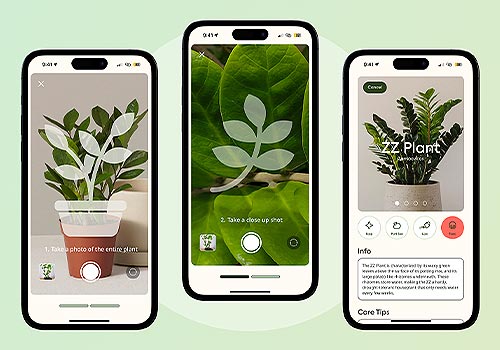 Design Awards Winner - Xinyi Wang - bud