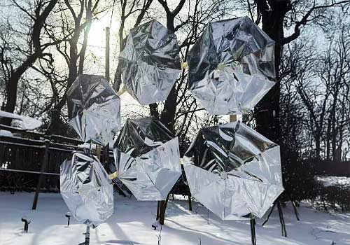 Design Awards Winner - The New School - Lost Focus