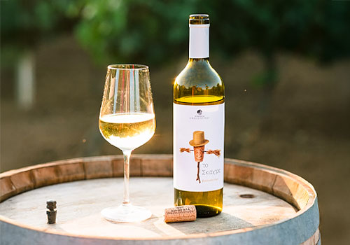 Design Awards Winner - SUSURROUS DESIGN UK LTD - THE SCARECROW