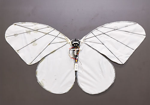 Design Awards Winner - Dora - Bio-inspired Silent Flapping-Wing Aerial Vehicle
