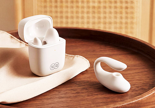 Design Awards Winner - Guangzhou Quanzhidao Health Technology Co., Ltd. - BAMA POPO “Whale Joy” PRO