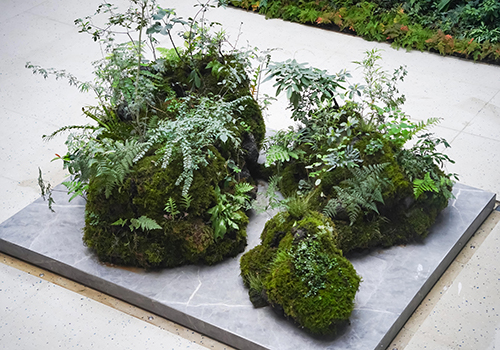 Design Awards Winner - Hangzhou Plantpow Ecology Landscape Co.,Ltd - “Heart of the earth”Plant installation landscape stone